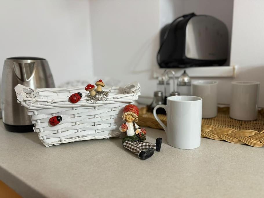 Iazi Apartament Μπρασόβ Εξωτερικό φωτογραφία