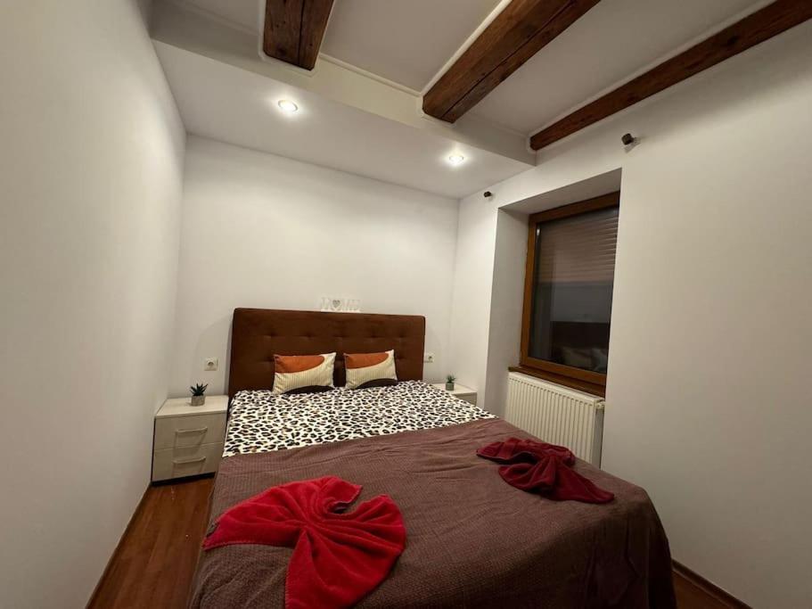 Iazi Apartament Μπρασόβ Εξωτερικό φωτογραφία