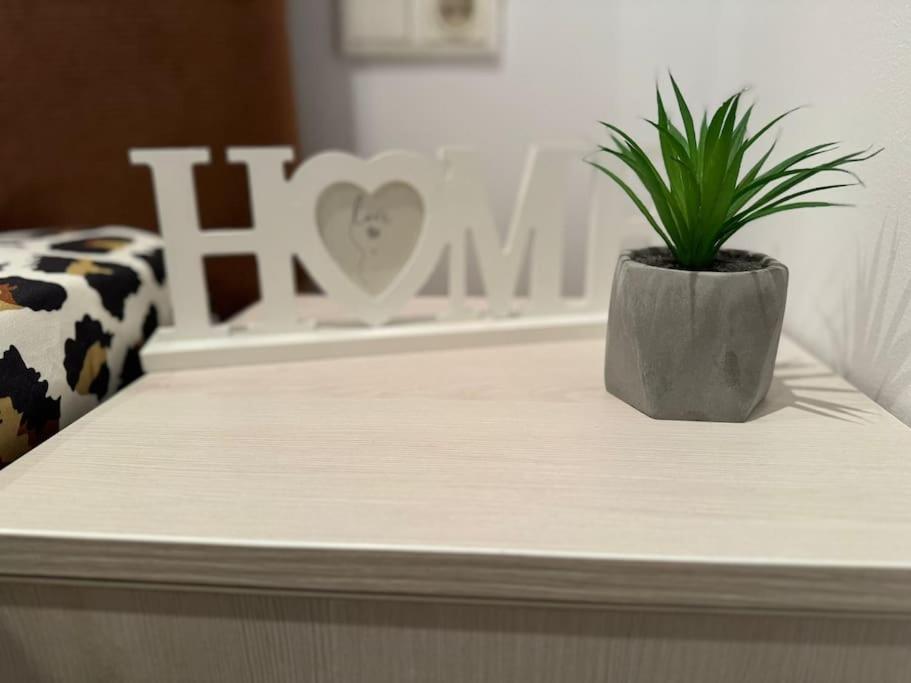 Iazi Apartament Μπρασόβ Εξωτερικό φωτογραφία